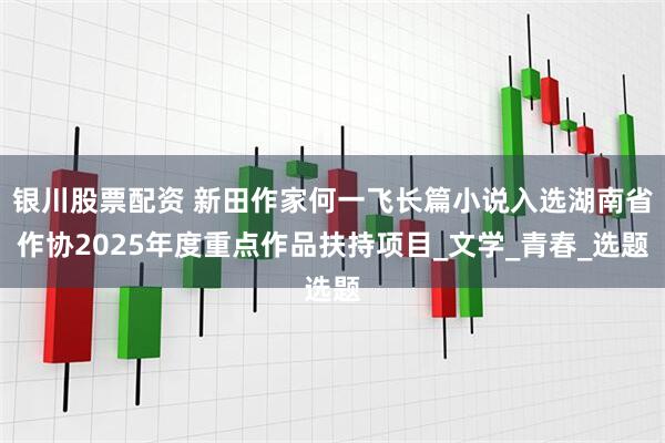 银川股票配资 新田作家何一飞长篇小说入选湖南省作协2025年度重点作品扶持项目_文学_青春_选题