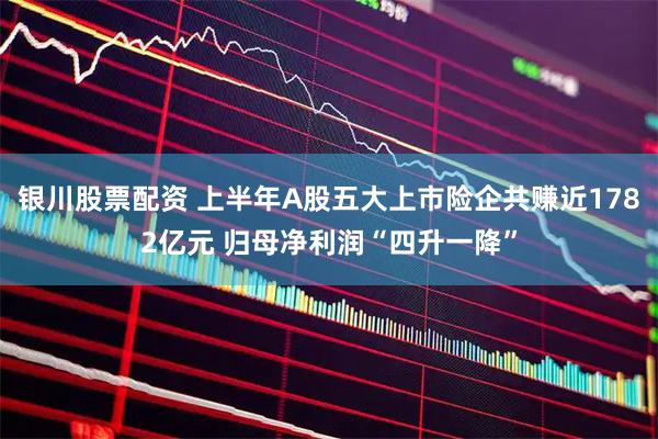 银川股票配资 上半年A股五大上市险企共赚近1782亿元 归母净利润“四升一降”